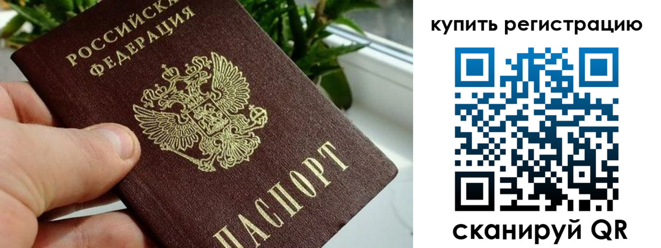 прописка гарантия в Анжеро-Судженске